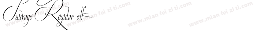 Sauvage Regular otf字体转换